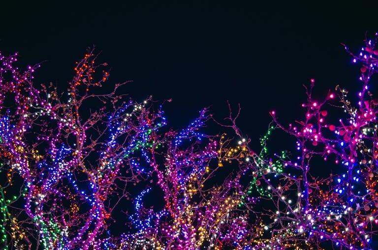 Colorful holiday lights illuminating tree branches against a dark night sky, perfect for festive backgrounds.