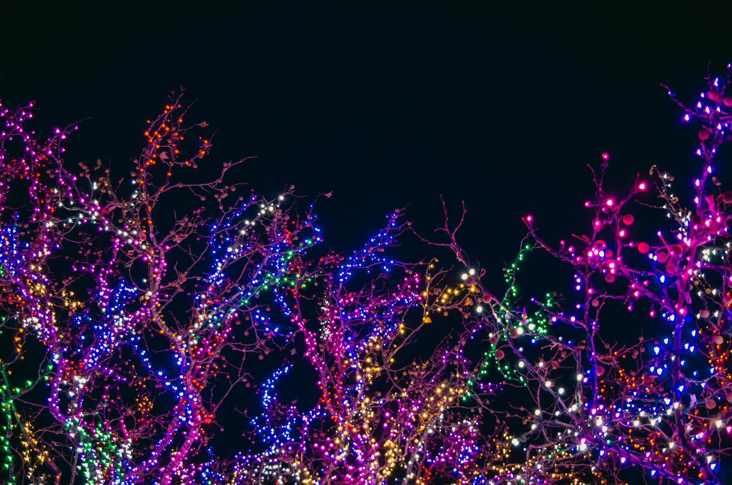 Colorful holiday lights illuminating tree branches against a dark night sky, perfect for festive backgrounds.