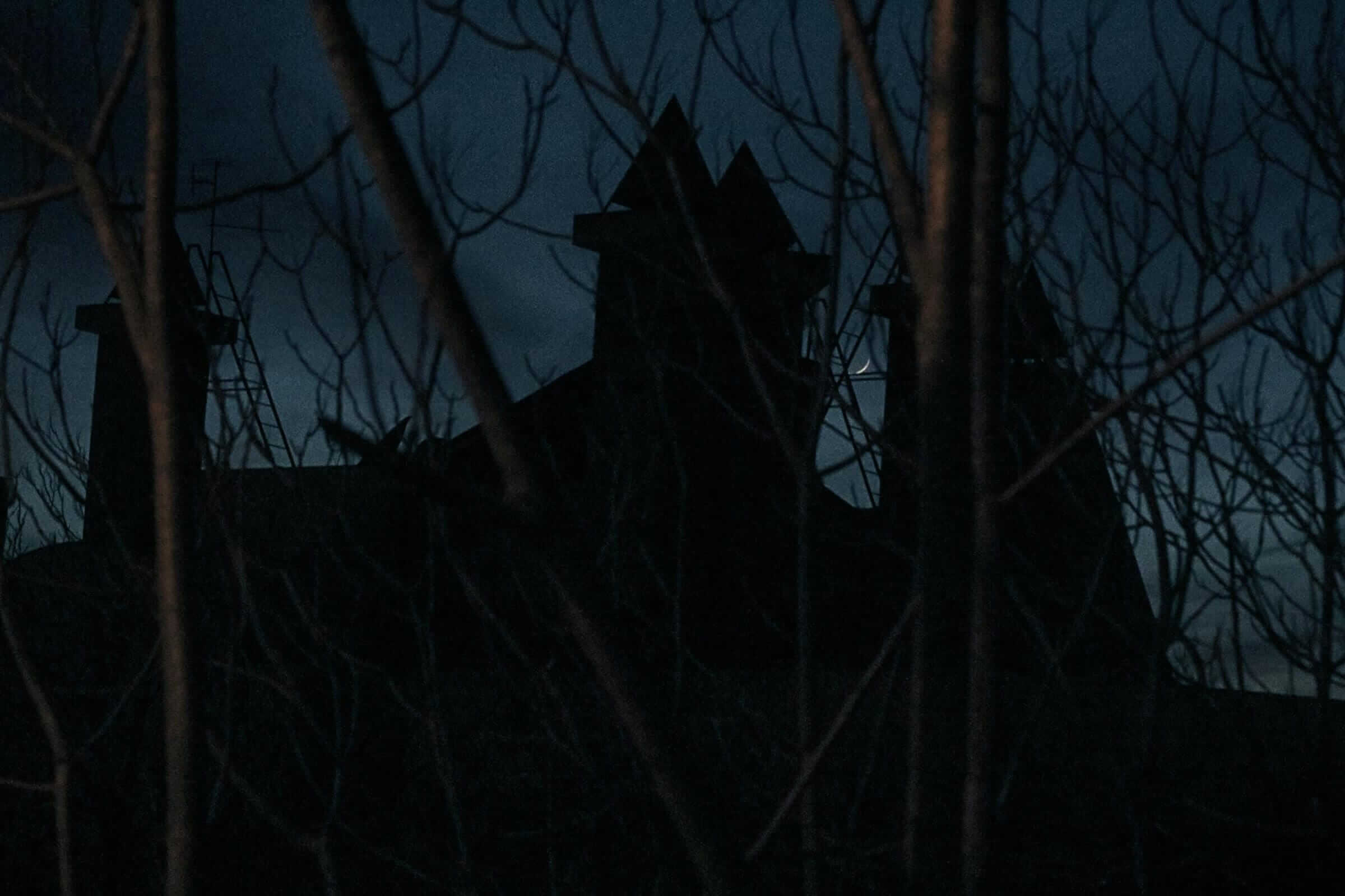 Eerie shadow of an old house seen through leafless trees under a crescent moon night sky.