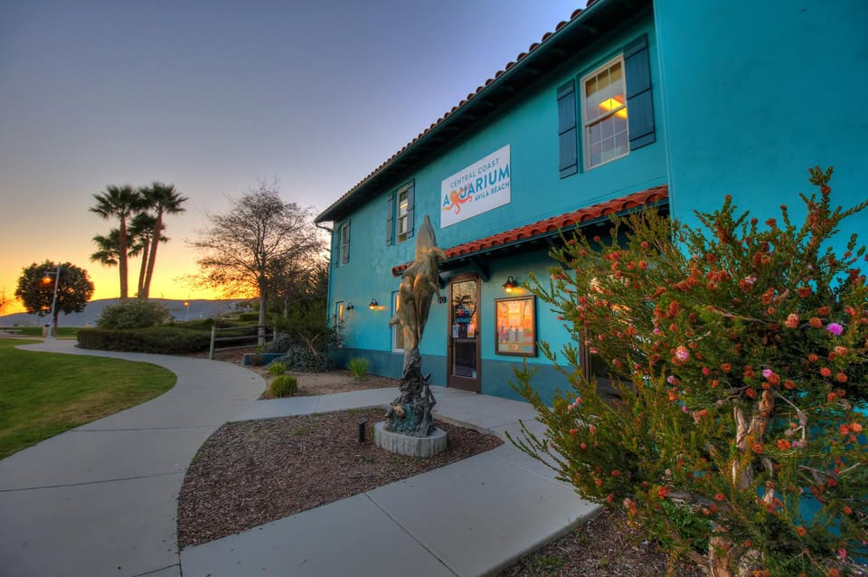 Central Coast Aquarium